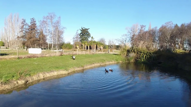 Opinii despre Geraldine Farmshop & Cafe în Geraldine - Hospitality and gastronomy