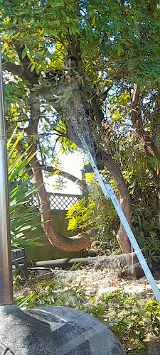 36 Commerce Street, Tokoroa 3420, New Zealand