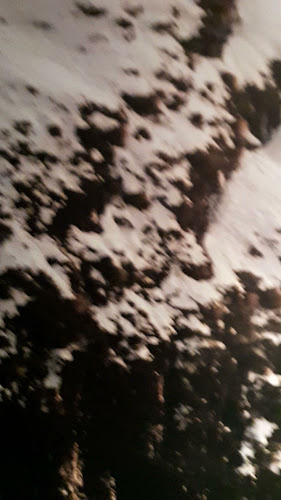 Gantley's Tavern - Hospitality and gastronomy