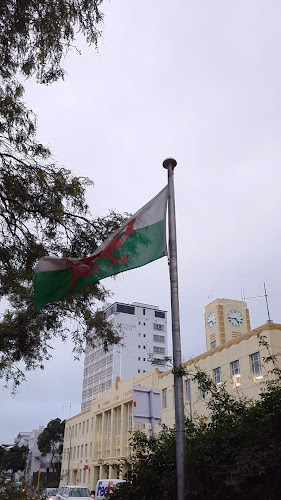 The Welsh Dragon Bar - Hospitality and gastronomy