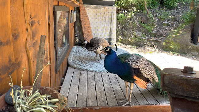 Opinii despre Archway Café în Richmond - Hospitality and gastronomy