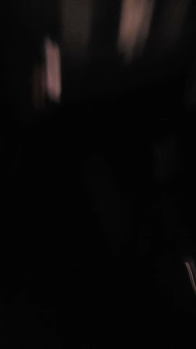 San Fran - Hospitality and gastronomy