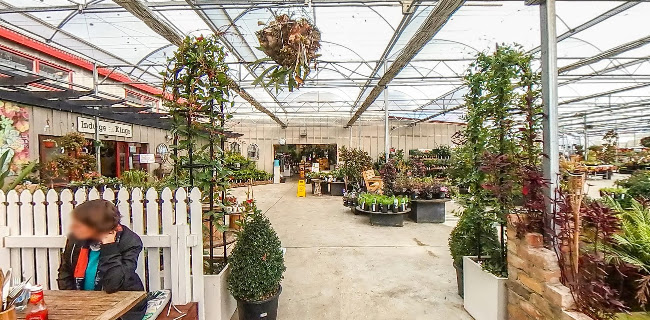 Kings Garden Cafe Henderson - Hospitality and gastronomy