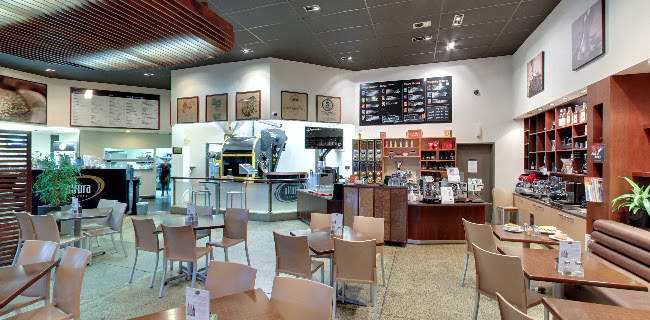 Altura Coffee Company - Hospitality and gastronomy