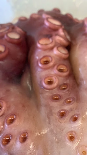 129 Marine Parade, Napier South, Napier 4110, New Zealand