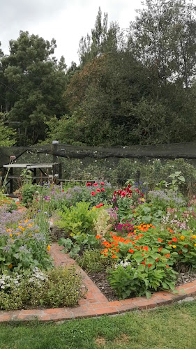 Opinii despre Blueberry Fields Forever (PYO) în Upper Hutt - Hospitality and gastronomy