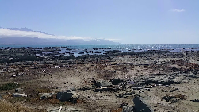 Kaikoura Seafood BBQ Kiosk Phone number