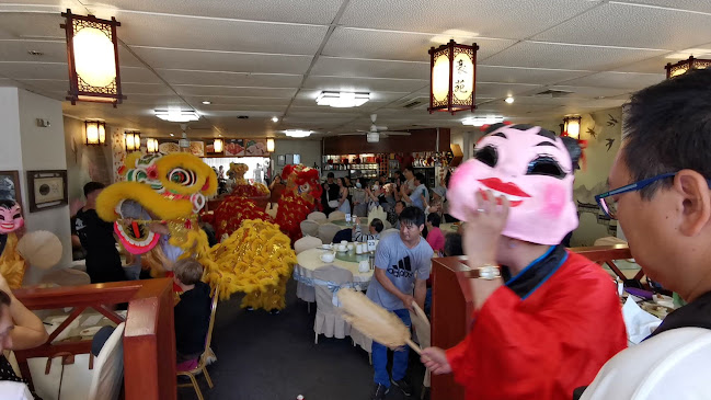 Opinii despre Regal Chinese Restaurant în Wellington - Hospitality and gastronomy