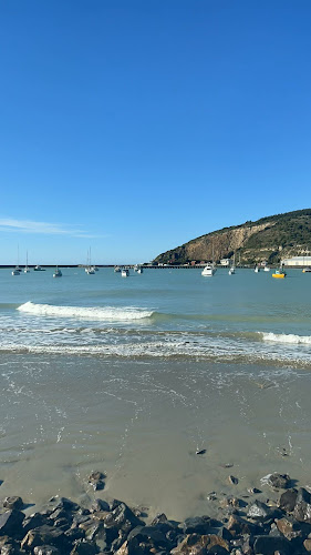 The Galley - Hospitality and gastronomy