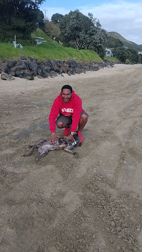 GREEN'S Paihia - INDIAN Cuisine - Hospitality and gastronomy