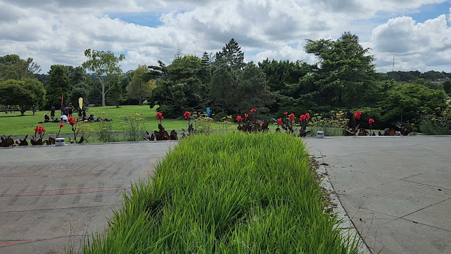 Opinii despre Cafe Miko în Auckland - Hospitality and gastronomy