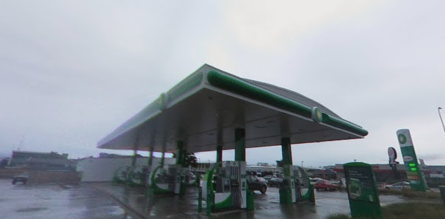 wildbean cafe - Hospitality and gastronomy