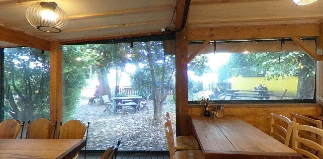 Comentarii opinii despre Toad Hall