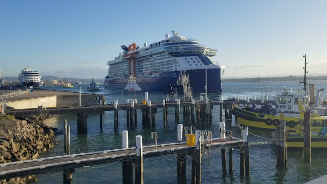 Mount Ocean Sports Club - Mount Maunganui