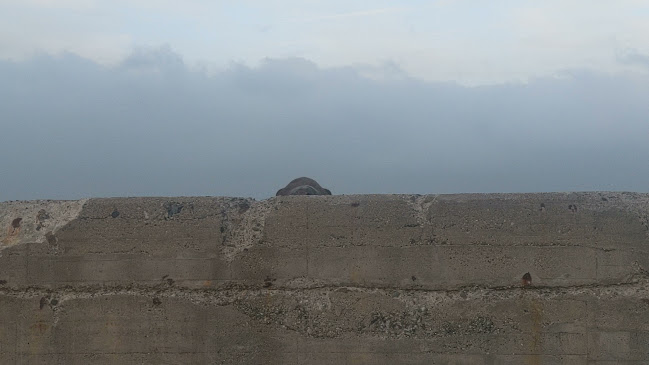 Del Mar Restaurant - Oamaru - Oamaru