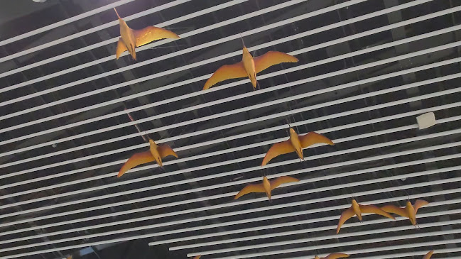 Auckland Airport, International Departures Ray Emery Drive, Auckland Airport, Auckland 2022, New Zealand