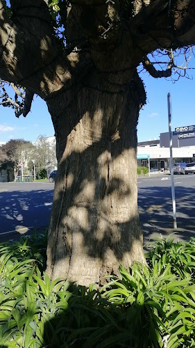 Reviews of Foundation On George in Auckland - Hospitality and gastronomy