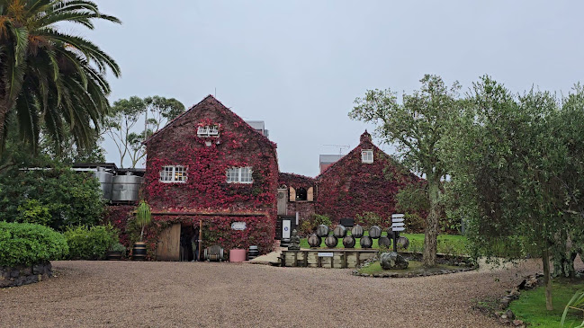 Stonyridge Vineyard - Waiheke Island