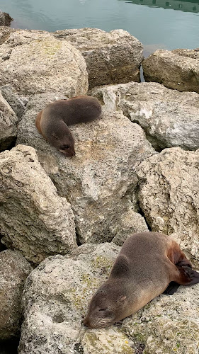 The Gintrap Restaurant & Bar - Hospitality and gastronomy