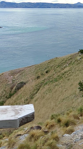 Opinii despre Careys Bay Historic Hotel în Dunedin - Hospitality and gastronomy