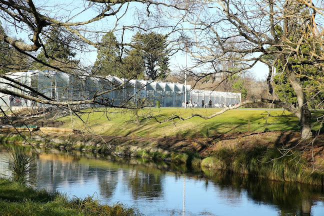 Opinii despre Ilex Café în Christchurch - Hospitality and gastronomy