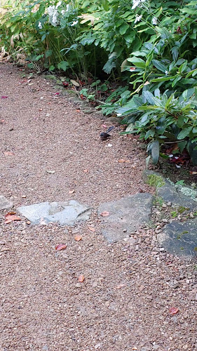 Glenfalloch Garden Café & Restaurant - Dunedin