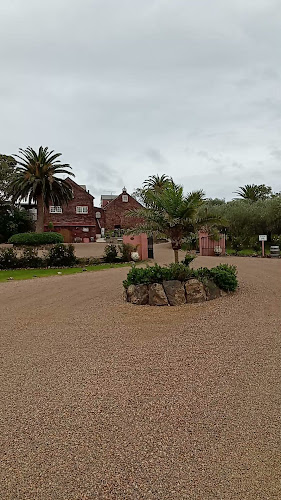 Stonyridge Vineyard - Hospitality and gastronomy