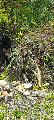 Alberico's Italian Restaurant - Tokoroa