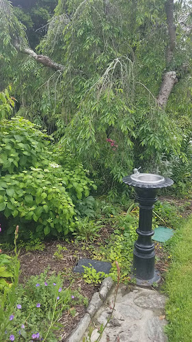 Comentarii opinii despre Melrose House Cafe