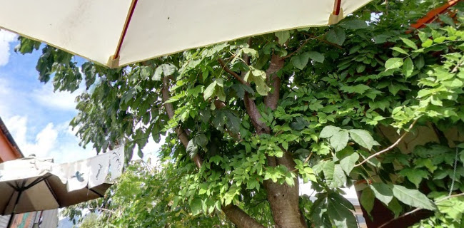 The Dangerous Kitchen Phone number