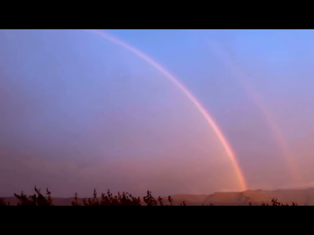 Fortune Fruit Company