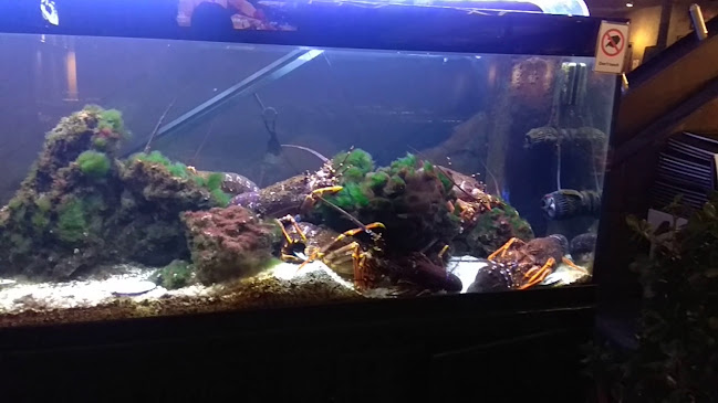 2/155 Blenheim Road, Riccarton, Christchurch 8041, New Zealand