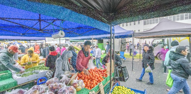 23 Elm Street, Avondale, Auckland 1026, New Zealand