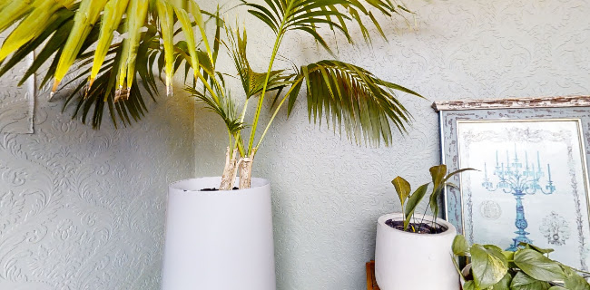 Urban Soul Cafe - Hospitality and gastronomy