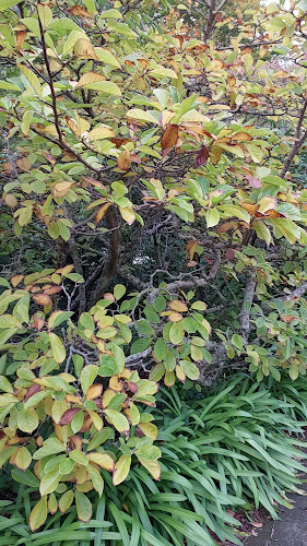 430 Portobello Road, Macandrew Bay, Dunedin 9077, New Zealand