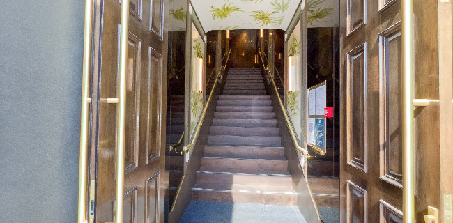 The Fine Lion - Ashburton