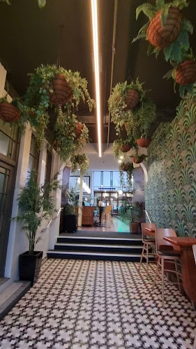 Reviews of St Johns Bar and Restaurant in Wellington - Hospitality and gastronomy