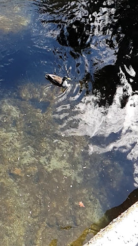 Botanic Christchurch - Christchurch