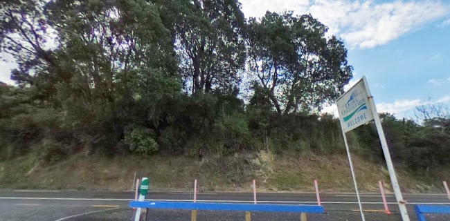 Ohiwa Oyster Farm - Wellington