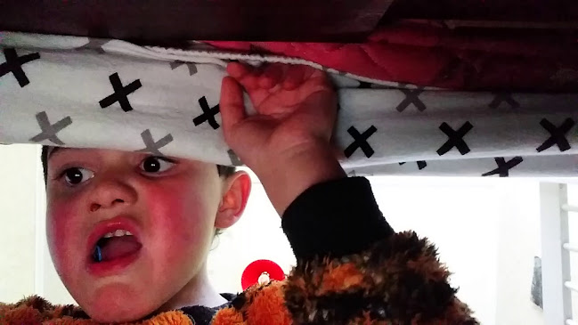 McDonald's Taumarunui - Hospitality and gastronomy