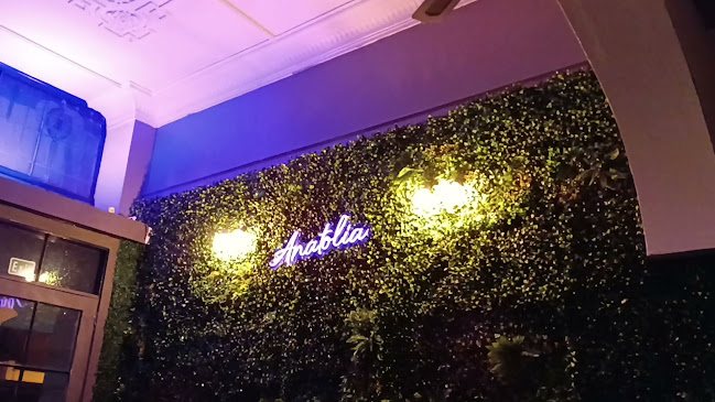 Anatolia Turkish Kebab House