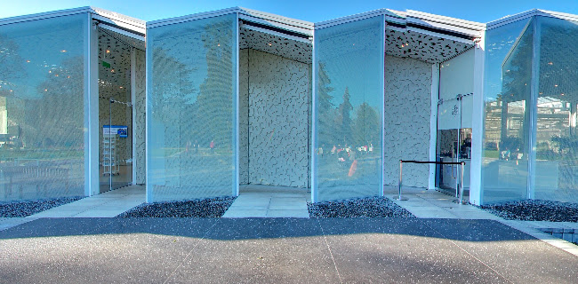 Ilex Café - Hospitality and gastronomy