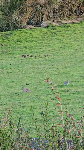 Reviews of Hunua Falls Cafe and Bar in Hunua - Hospitality and gastronomy