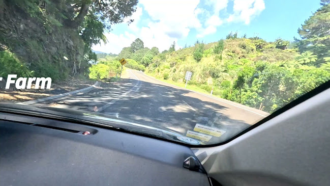 Ohiwa Oyster Farm - Hospitality and gastronomy