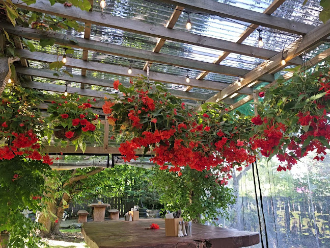 Benger Garden Cafe & Chalets - Ettrick