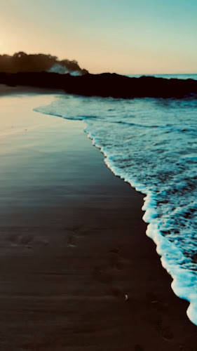 Zippys cafe and Ice cream truck - Hospitality and gastronomy