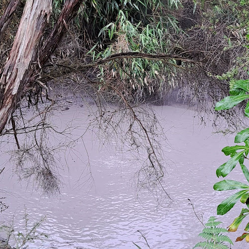 Maketu Beachside Cafe & Restaurant - Hospitality and gastronomy