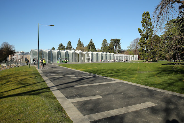 Ilex Café - Hospitality and gastronomy