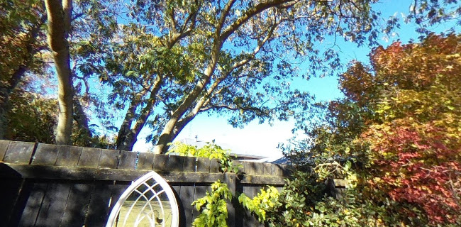 Eleni Cafe-Kafeinio - Renwick