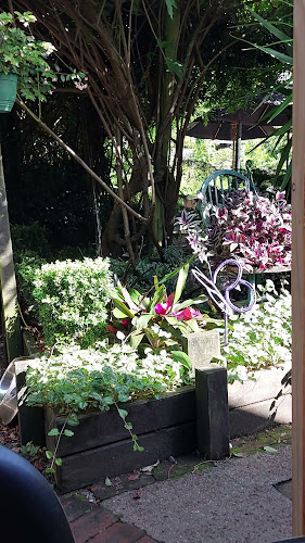 Red Shed Palazzo - Auckland